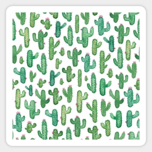 Cacti Pattern Sticker